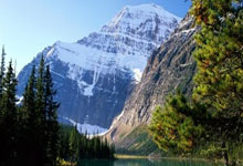 澳大利亚跳水队表现不佳，排名下滑的简单介绍